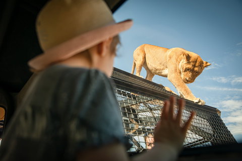 Monarto Safari Park - Nambucca Heads Accommodation 2