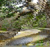 Saltwater National Park - Nambucca Heads Accommodation
