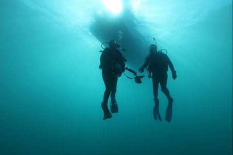 The Arches Marine Sanctuary - Nambucca Heads Accommodation 0