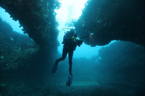 The Arches Marine Sanctuary - Nambucca Heads Accommodation 1
