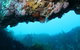 The Arches Marine Sanctuary - thumb 2
