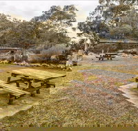 Thredbo River picnic area - Nambucca Heads Accommodation