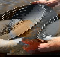 Tuena Panning for Gold - Nambucca Heads Accommodation