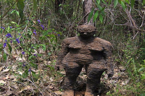 Understory Art In Nature - Nambucca Heads Accommodation 0