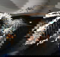 UNE Natural History Museum - Nambucca Heads Accommodation