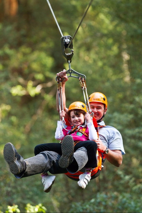 Zipline At Illawarra Fly - Nambucca Heads Accommodation 0