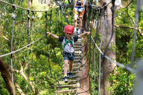 Zipline At Illawarra Fly - Nambucca Heads Accommodation 1
