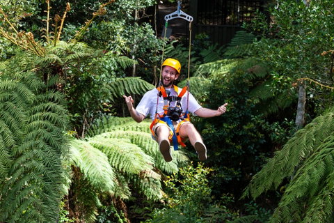 Zipline At Illawarra Fly - Nambucca Heads Accommodation 2