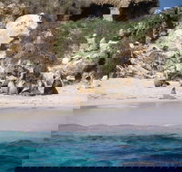 Australian Sea Lions - Nambucca Heads Accommodation
