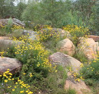 Ben Hall's Cave Walking Track - Nambucca Heads Accommodation