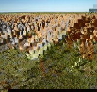 Borroloola - Nambucca Heads Accommodation