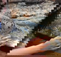Canberra Reptile Zoo - Nambucca Heads Accommodation