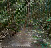 Cascades Walk - Nambucca Heads Accommodation