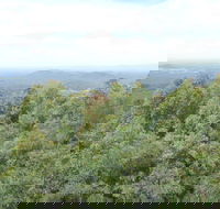Collombatti Lookout - Nambucca Heads Accommodation