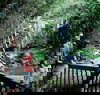 Curtis Falls track Tamborine National Park - Nambucca Heads Accommodation