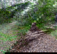 Double Wharf Trail - Nambucca Heads Accommodation