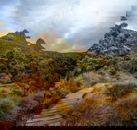 Dove Lake - Nambucca Heads Accommodation