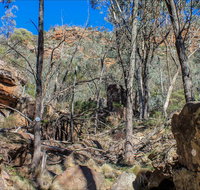 Eualdrie Walking Track - Nambucca Heads Accommodation