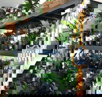 Fancy Plants - Nambucca Heads Accommodation