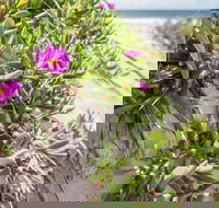 Fort Bribie - Nambucca Heads Accommodation