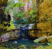 Glimpse of the Outback 5 Day Tour - Roma and Surrounds - Nambucca Heads Accommodation