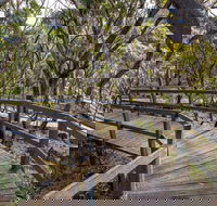 Governor Summit Corrunbral Borawah Walking Track - Nambucca Heads Accommodation