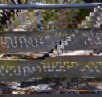 Kuriong Sheep Station - Nambucca Heads Accommodation