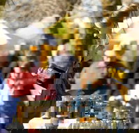 Lancefield - Nambucca Heads Accommodation