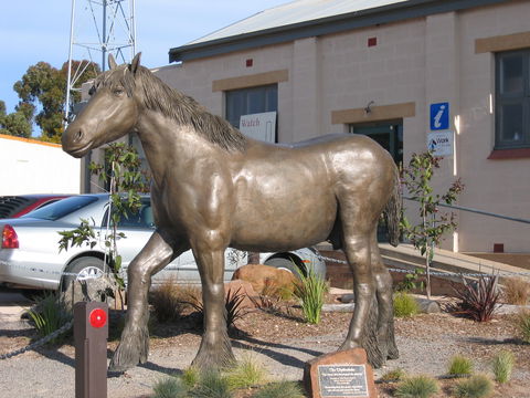 Maitland - Nambucca Heads Accommodation 0