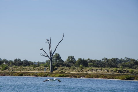 Mandurah Estuary And Peel Inlet - Nambucca Heads Accommodation 1