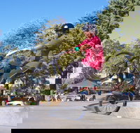 Millicent Skatepark - Nambucca Heads Accommodation