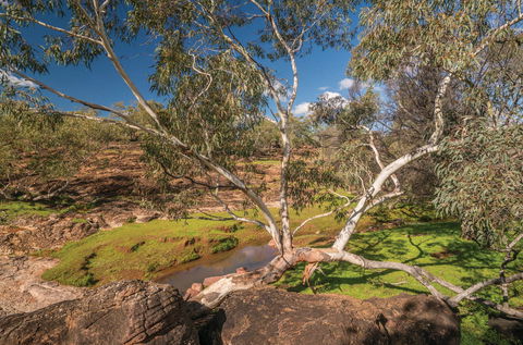 Mount Grenfell Historic Site - Nambucca Heads Accommodation 0