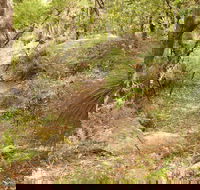 Mount Carnarvon Walking Track - Nambucca Heads Accommodation