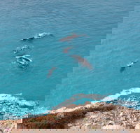 Nullarbor National Park - Nambucca Heads Accommodation