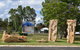 The Fossilised Forest Sculpture - thumb 0