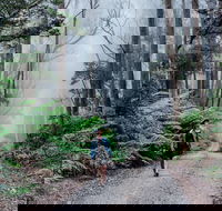 The Corn Trail Walking Track