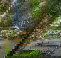 The Falls Walk Budderoo National Park - Nambucca Heads Accommodation