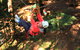 Trees Adventure - Glen Harrow Park - thumb 0