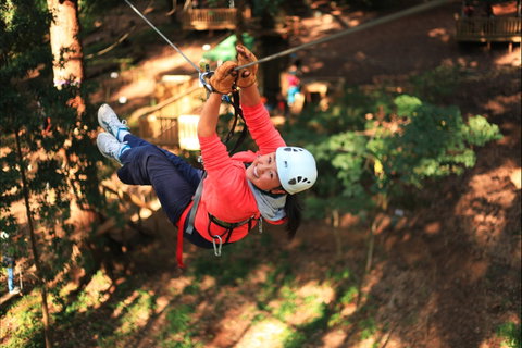 Trees Adventure - Glen Harrow Park - Nambucca Heads Accommodation 0