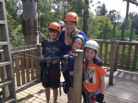 Trees Adventure - Glen Harrow Park - Nambucca Heads Accommodation 1