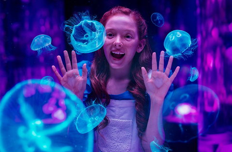 Australia's Sea World - Nambucca Heads Accommodation 0