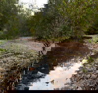 Budawang National Park - Nambucca Heads Accommodation