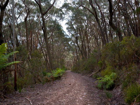 Budawang National Park - Nambucca Heads Accommodation 1