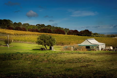 Coast To Vines Rail Trail - Nambucca Heads Accommodation 2