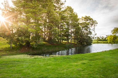 Curlewis Golf Club & The Range At Curlewis The Bellarine - Nambucca Heads Accommodation 1