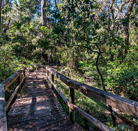 Dawson River Walking Track - Nambucca Heads Accommodation