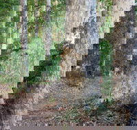 Delta Track - Nambucca Heads Accommodation