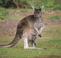 Donnelly River - Nambucca Heads Accommodation