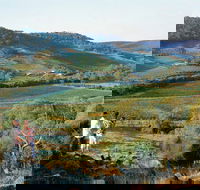 Farm Flavour Trail Chittering Valley - Nambucca Heads Accommodation