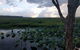 Fogg Dam Conservation Reserve - thumb 0